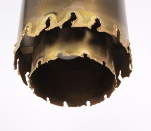 HolmSorensen6400hang10