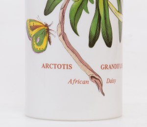 afrikaantje5