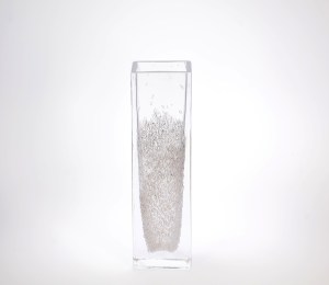 blokvaasbruis2