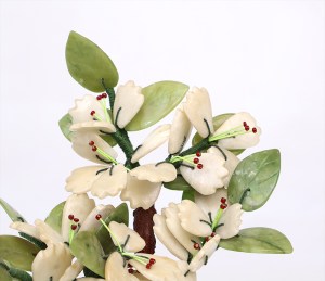 bonsaijade4
