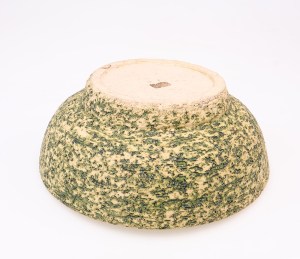 cactuspotberk4