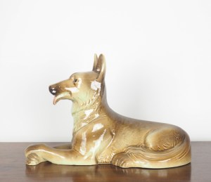 hond5