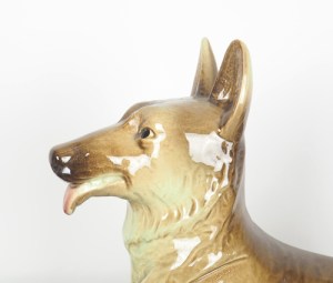 hond6