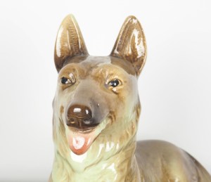 hond7