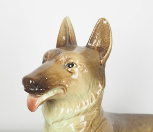 hond8