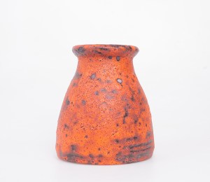 oranjebruis1