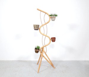 plantenslang22