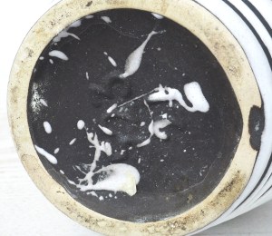 scheurichstreepgroen5